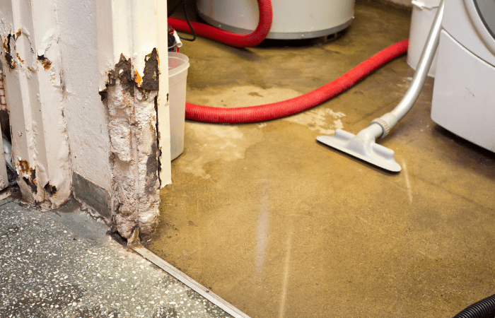 Flood Restoration Melbourne